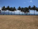 Port Douglas, bláznivé palmy