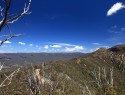 Tidbinbilla park 