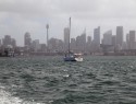 Panorama Sydney z moře