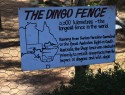 Healesville sanctuary - Dingoplot