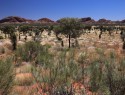 Kata-Tjuta dune view