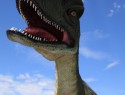 To jsme nevěděli, že tu ještě žijí dinosauři!