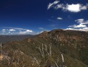 Tidbinbilla park 