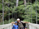 Tarra Bulga park