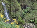 Erskine falls