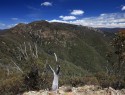 Tidbinbilla park 