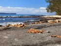Jervis bay 