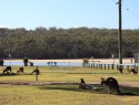 Lake Conjola camp