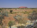 Uluru z  Dune Viewing point