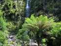 Erskine falls