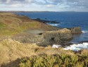Nobbies, západní výspa Phillip islandu