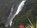 Milford Sound, Bowen falls