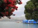 Akaroa harbour, marína