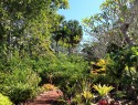 Darwin botanic garden