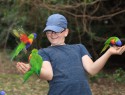 Žonglování s lorikeety