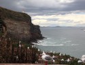 Otago peninsula, Royal albatross colony. 