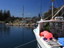Bermagui harbour