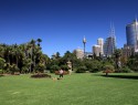 Royal Botanic garden - slouží jako park pro všechny. A zadarmo!