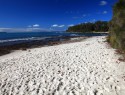 Huskisson, Jervis Bay