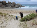 Whisky bay, Wilson Promontory