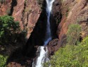 NP Litchfield, Wangi falls