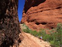 Kata Tjuta - Karingana lookout