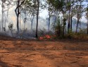 NP Litchfield, bush fires, řízené. Děje se to všude jako prevence před neřízeným vzplanutím. Pak už nemá co hořet a nikdo se nebojí