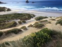 Sandfly bay