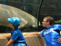 Dugong pózuje s klukama v Sydney aquarium