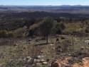Panorama z vrcholu Stromlo
