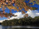 Podzim u Wentworth falls lake