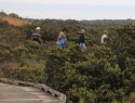 Mangrove, cestou z Rhyllu - Phillip island