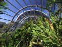 Skleníky v Royal Botanic garden