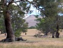 Krajina kolem Granpians, převažuje žlutá, suchá tráva