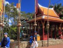 Sydney, ZOO, chinatown