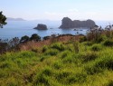 Mahurangi island