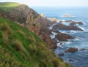 Philip island - Pinnacles
